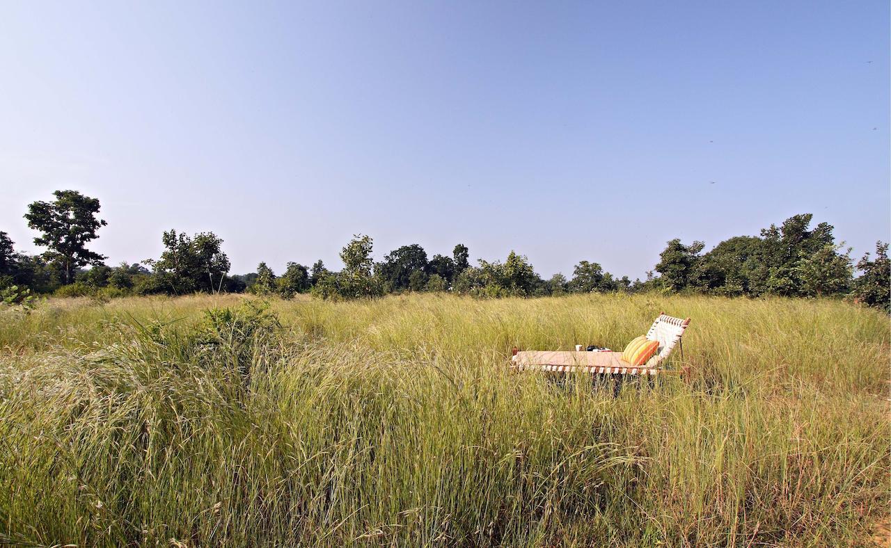 Samode Safari Lodge Parāsi Extérieur photo