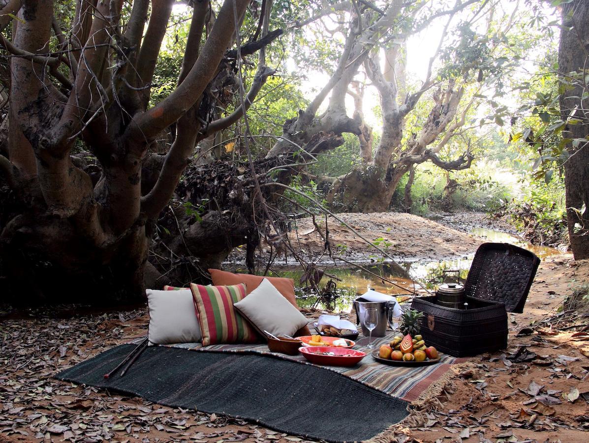 Samode Safari Lodge Parāsi Extérieur photo